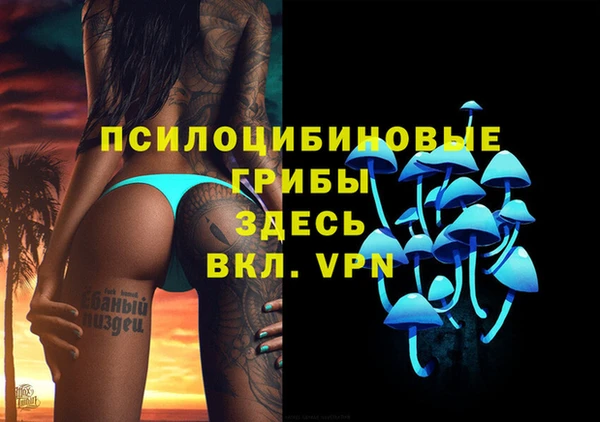 прущая мука Алексин