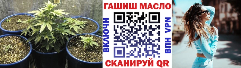 ТГК Wax Карасук
